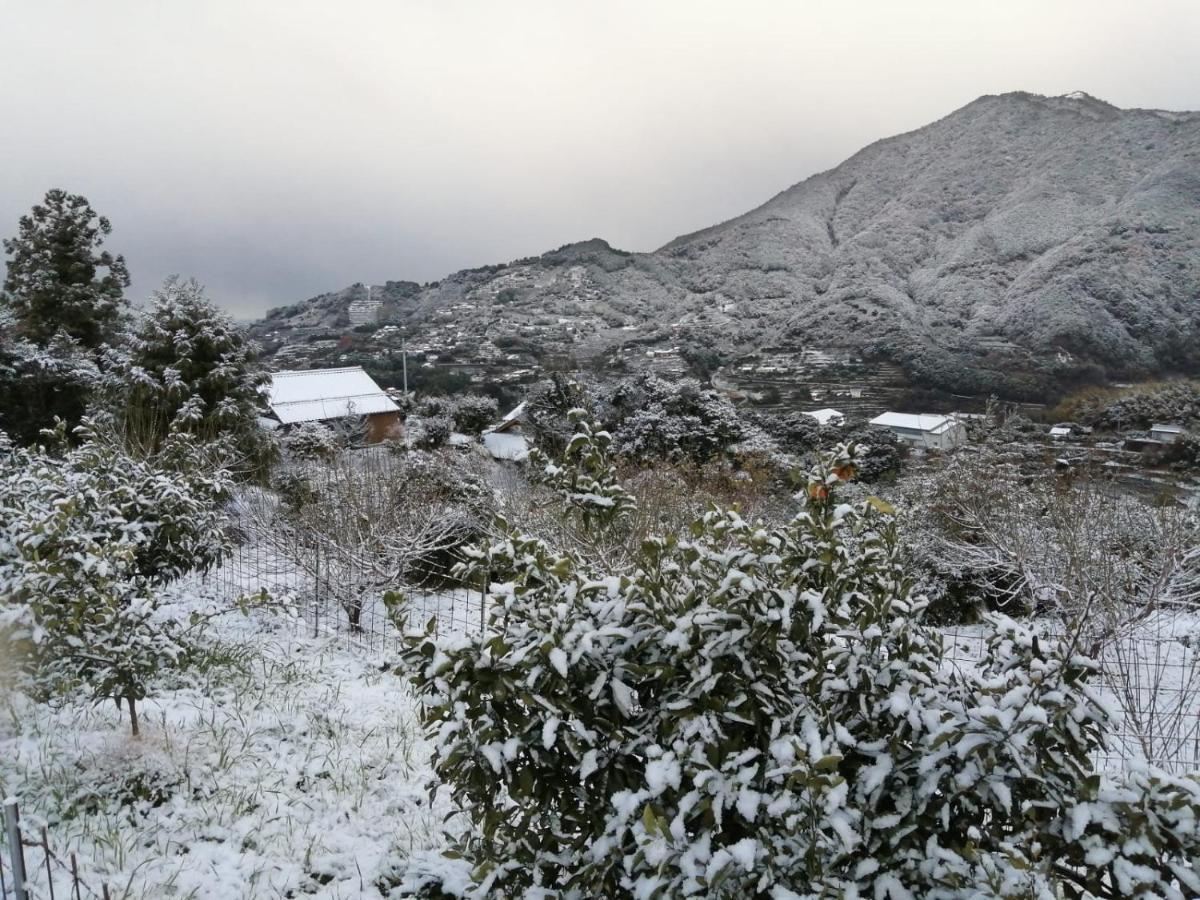 Kumano Kodo Nagano Guesthouse Tanabe Zewnętrze zdjęcie