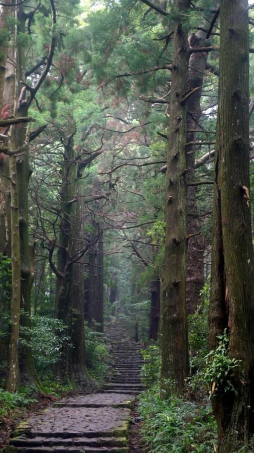 Kumano Kodo Nagano Guesthouse Tanabe Zewnętrze zdjęcie