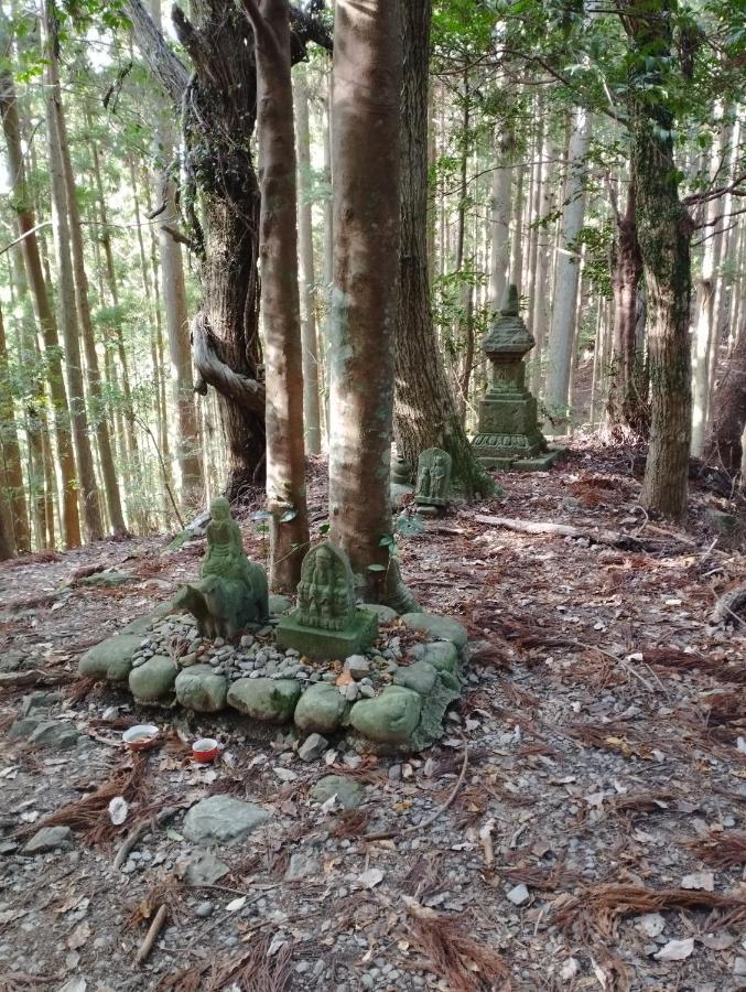 Kumano Kodo Nagano Guesthouse Tanabe Zewnętrze zdjęcie